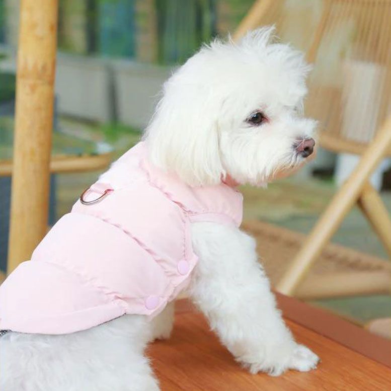발열조끼